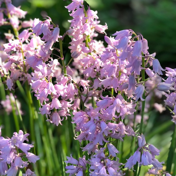 Meet your Posher, Ewa - Picture 1 of 1